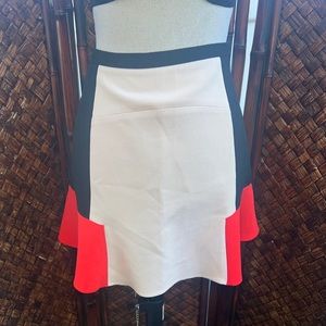Zara colorblock skirt